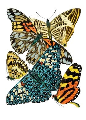 10 VIntage Papillons