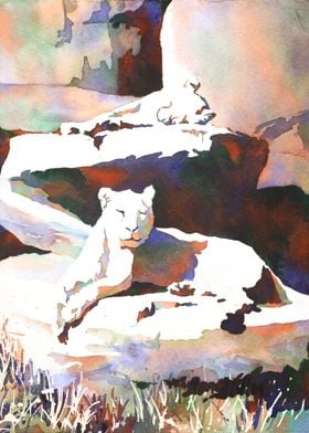 Lioness artwork animal art