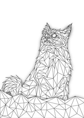 Cat Lowpoly Wireframe