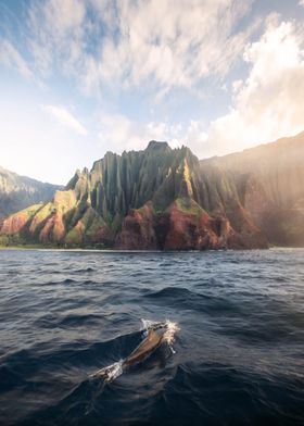 Dolphins of NaPali coast