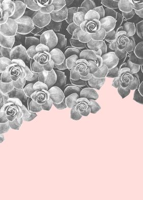 Floral and pink art I