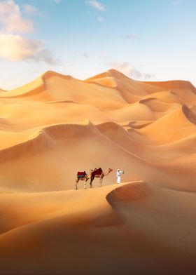 Dunes of the desert