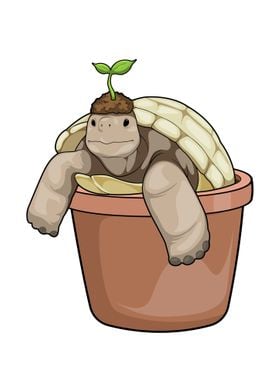 Turtle Plant pot Plant