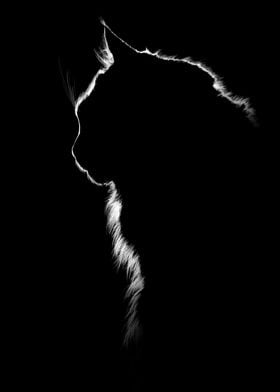 Silhouette of a cat