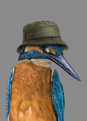 Kingfisher