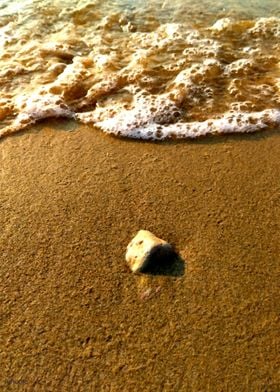 Beach Background