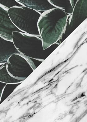 Floral and marble art 1