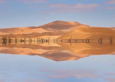 Kalahari Desert