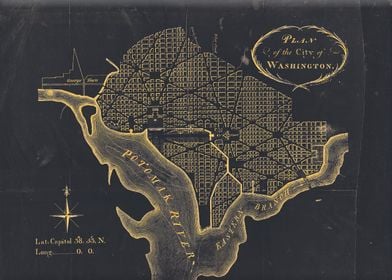 Washington DC vintage map