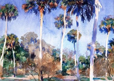 palms 1917 by Sargent