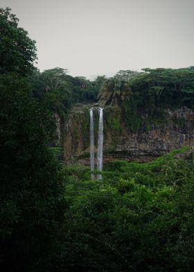 Forest Waterfall