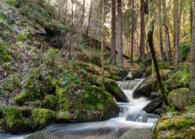 Lazy Woodland River