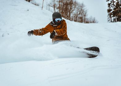 Snowboard Flurry