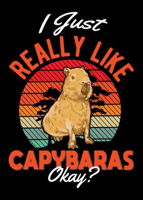 Capybara Gift Capibara