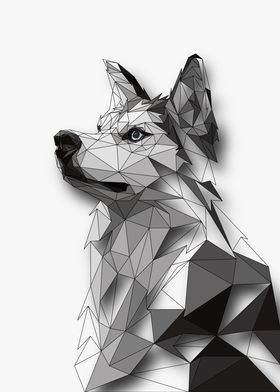 Siberian Husky Lowpoly