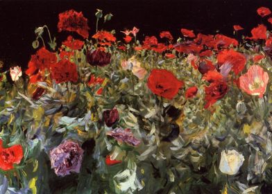 poppies 1886 by Sargent