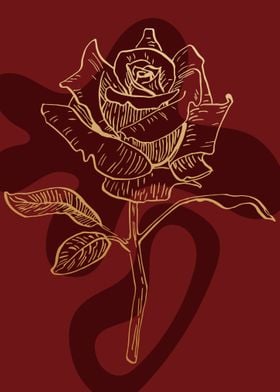 Roses Rosa Rose 