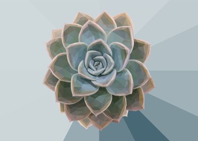 Low Poly Teal Succulent