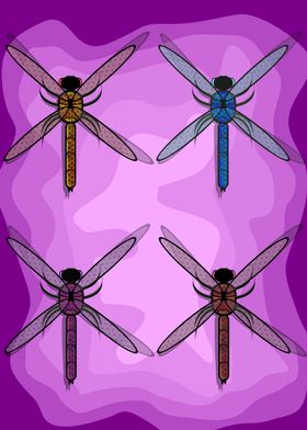 the exotic dragonflies