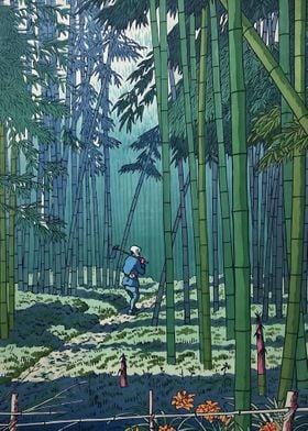 Bamboo Grove in Japan