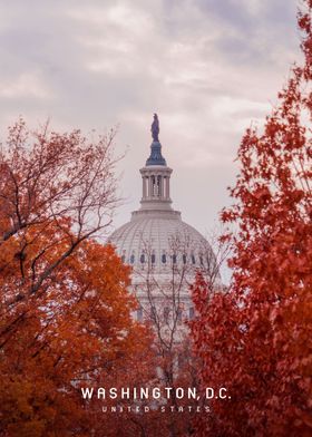 Washington DC 