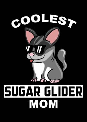 Sugar Glider Mom 