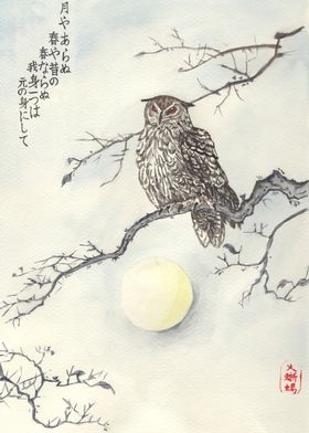 Owl Zen Painting