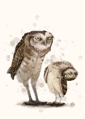 Grumpy Owl Silly Owl