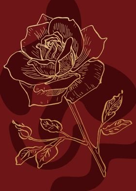 Rosa