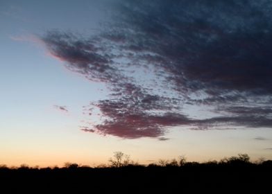 Safari Sunset