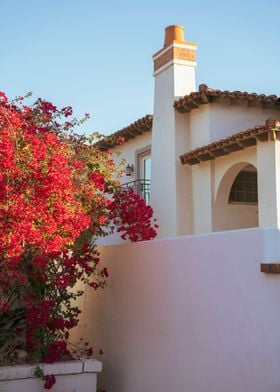 Palm Springs Architecture