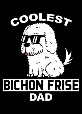 Bichon Frise Dad 