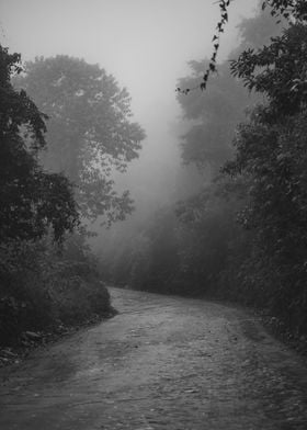 Misty Roads