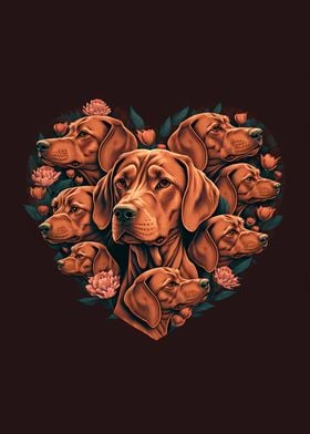 Vizsla