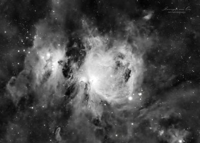 Orion Black and White