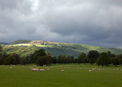 Landscape in England