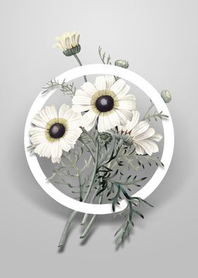 Chrysanthemum Flower Art