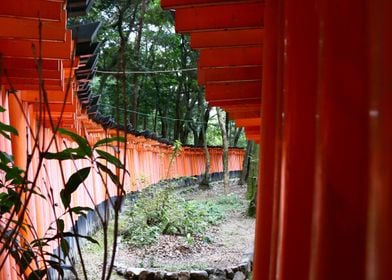 Fushimi Inari Shrine