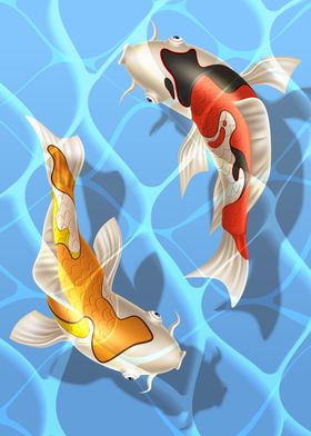 Koi fish