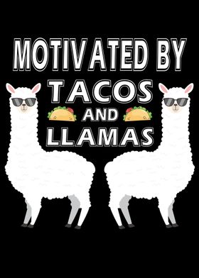 Tacos And Llamas Lover