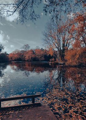 Fall fishing lake