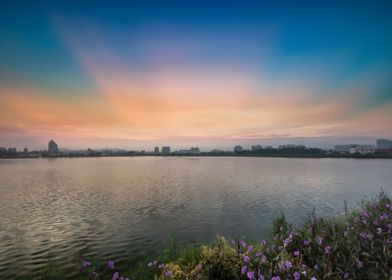 pond scenery