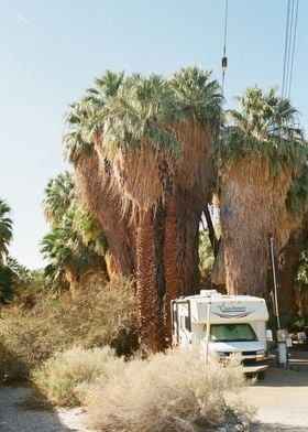 California Desert 35mm