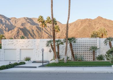 Palm Springs Architecture