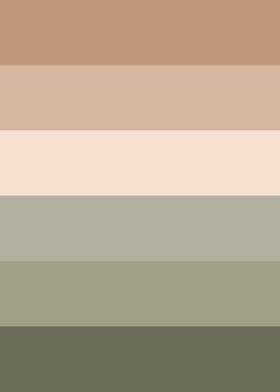 Chocolate Color Palette