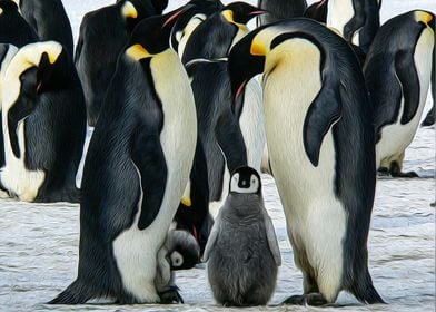 Penguin