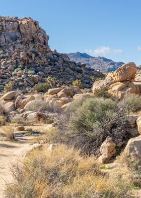 Joshua Tree National Park