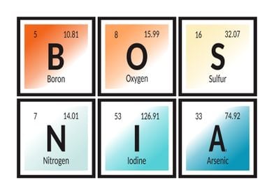 Elements of Bosnia 