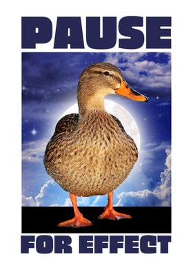 duck Pause for effect 