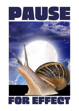 snail  Pause for effect 